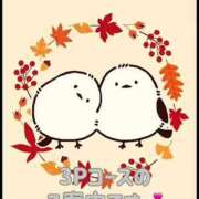 ヒメ日記 2025/03/08 12:09 投稿 ことね 奥様鉄道69 岡山店