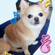 ヒメ日記 2025/03/10 15:39 投稿 ことね 奥様鉄道69 岡山店