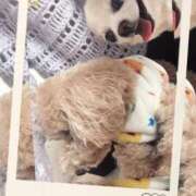 ヒメ日記 2025/03/15 14:09 投稿 ことね 奥様鉄道69 岡山店