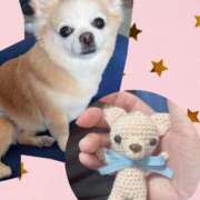 ヒメ日記 2025/03/20 23:19 投稿 ことね 奥様鉄道69 岡山店