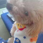 ヒメ日記 2025/03/26 09:39 投稿 ことね 奥様鉄道69 岡山店