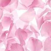 ヒメ日記 2025/03/26 19:19 投稿 ことね 奥様鉄道69 岡山店