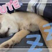 ヒメ日記 2025/09/15 11:19 投稿 ことね 奥様鉄道69 岡山店