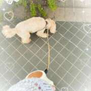 ヒメ日記 2025/10/09 18:09 投稿 ことね 奥様鉄道69 岡山店