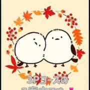 ヒメ日記 2025/11/29 15:09 投稿 ことね 奥様鉄道69 岡山店