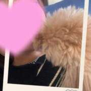 ヒメ日記 2025/12/01 08:49 投稿 ことね 奥様鉄道69 岡山店