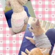 ヒメ日記 2025/12/11 13:29 投稿 ことね 奥様鉄道69 岡山店