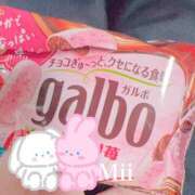 ヒメ日記 2024/12/09 18:11 投稿 みぃ 素人系イメージSOAP彼女感大宮館