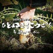 ヒメ日記 2025/04/29 13:03 投稿 みぃ 素人系イメージSOAP彼女感大宮館