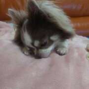 ヒメ日記 2025/08/08 18:42 投稿 竹脇まりな 全裸美女からのカゲキな誘惑