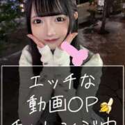 ヒメ日記 2024/12/29 19:31 投稿 ひめの Gossip girl