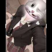 ヒメ日記 2025/03/31 10:30 投稿 よる 和楽(わらく)