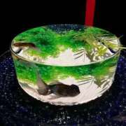 ヒメ日記 2025/08/23 08:01 投稿 よる 和楽(わらく)