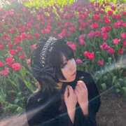 ヒメ日記 2025/08/24 16:00 投稿 よる 和楽(わらく)