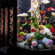 ヒメ日記 2025/08/26 08:01 投稿 よる 和楽(わらく)