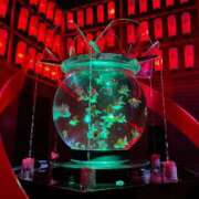 ヒメ日記 2025/08/29 08:01 投稿 よる 和楽(わらく)