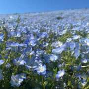 ヒメ日記 2025/08/30 08:01 投稿 よる 和楽(わらく)