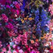 ヒメ日記 2025/08/31 08:01 投稿 よる 和楽(わらく)