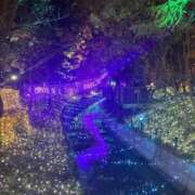 ヒメ日記 2025/11/30 08:00 投稿 よる 和楽(わらく)