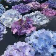 ヒメ日記 2025/12/01 08:00 投稿 よる 和楽(わらく)