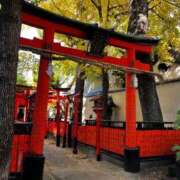 ヒメ日記 2025/12/03 16:00 投稿 よる 和楽(わらく)