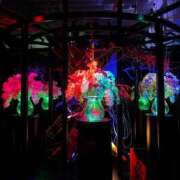 ヒメ日記 2025/12/07 16:00 投稿 よる 和楽(わらく)