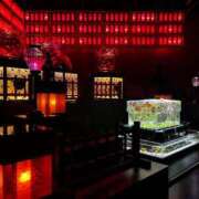 ヒメ日記 2025/12/08 08:01 投稿 よる 和楽(わらく)