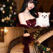 よる 🦋良いお年を✨️🦋 和楽(わらく)