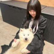 ヒメ日記 2026/02/24 21:37 投稿 よる 和楽(わらく)