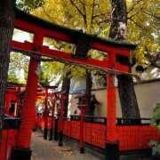 ヒメ日記 2026/02/26 08:01 投稿 よる 和楽(わらく)