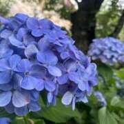 ヒメ日記 2026/02/28 08:01 投稿 よる 和楽(わらく)