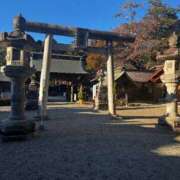 ヒメ日記 2026/03/02 14:00 投稿 よる 和楽(わらく)