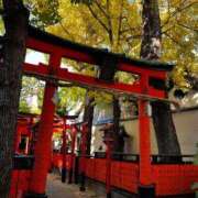 ヒメ日記 2026/03/04 08:02 投稿 よる 和楽(わらく)