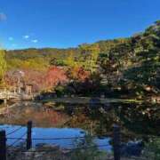 ヒメ日記 2026/03/06 08:02 投稿 よる 和楽(わらく)