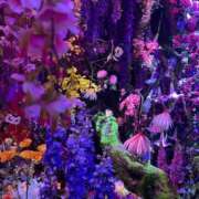 よる 🦋おはようございます🦋 和楽(わらく)