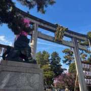 ヒメ日記 2026/08/30 08:01 投稿 よる 和楽(わらく)