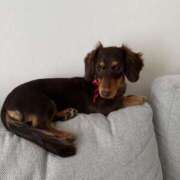 ヒメ日記 2026/02/26 05:06 投稿 ましろ シャブール