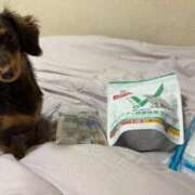 ヒメ日記 2026/04/26 16:40 投稿 ましろ シャブール