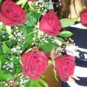 ヒメ日記 2025/04/14 12:10 投稿 るみ 逢って30秒で即尺