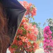 ヒメ日記 2025/05/03 17:18 投稿 るみ 逢って30秒で即尺