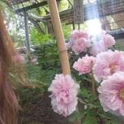 ヒメ日記 2025/05/07 11:57 投稿 るみ 逢って30秒で即尺