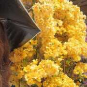 ヒメ日記 2025/05/11 10:36 投稿 るみ 逢って30秒で即尺