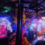 ヒメ日記 2025/08/11 16:22 投稿 るみ 逢って30秒で即尺