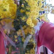 ヒメ日記 2026/02/28 16:53 投稿 るみ 逢って30秒で即尺