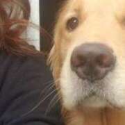 ヒメ日記 2026/03/02 15:53 投稿 るみ 逢って30秒で即尺