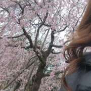 るみ クロコくんホール 逢って30秒で即尺