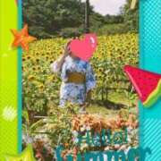 ヒメ日記 2025/08/19 12:48 投稿 杉浦ここあ 五十路マダムエクスプレス豊橋店（カサブランカグループ）