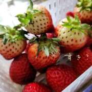 ヒメ日記 2025/03/28 16:54 投稿 小鞠 ゆず 30代40代50代と遊ぶなら博多人妻専科24時