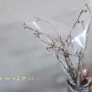 ヒメ日記 2025/04/16 09:08 投稿 小鞠 ゆず 30代40代50代と遊ぶなら博多人妻専科24時