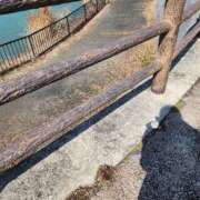 ヒメ日記 2026/02/11 17:59 投稿 小鞠 ゆず 30代40代50代と遊ぶなら博多人妻専科24時